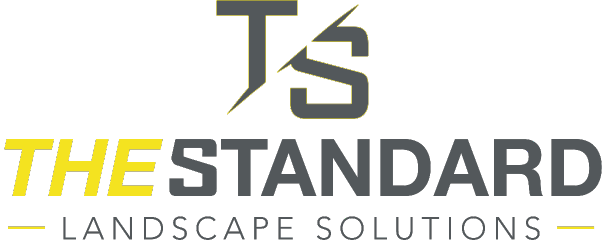 thestandardlogo fullcolor vertical